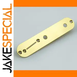 Vibrant Chameleon Brass Guitar Control Plate