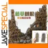 Miniature Tree Root Vine Diorama Kit for Adults