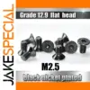 M2.5 Hex Socket Flat Head Screws Set 10pcs