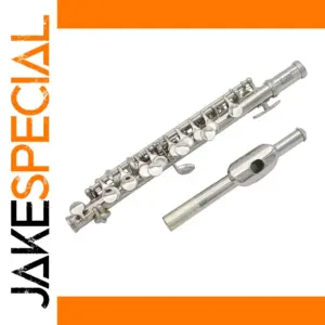 Elegant Silver Professional Transverse Flute