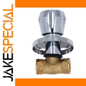 Concealed Brass Water Valve 1/2 Inch NPT