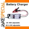 Adjustable 60A Lithium Battery Charger for 2S-4S