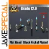 High-Grade Black Nickel M3 Flat Head Screws Set