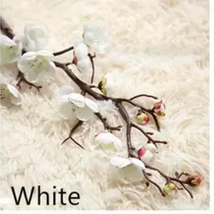 5b1bfafb55f94d928b866d52 upscaled