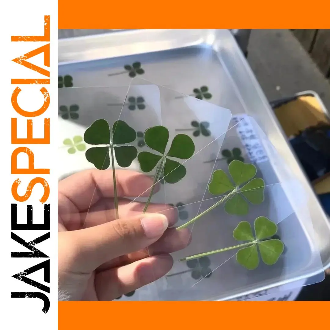 Lucky Four-Leaf Clover Postcards Set of 5 or 10 1 Lucky Four-Leaf Clover Postcards Set of 5 or 10