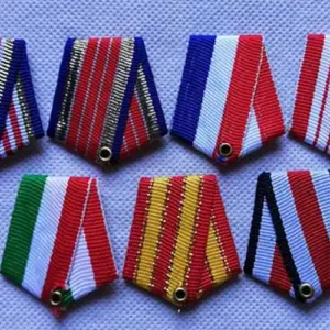 Vintage Hexagonal Badge with Vibrant Stripes 13 5fb10c0c7c80463497882357 upscaled