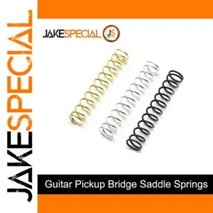 Set of 100 Metal Guitar and Bass Springs