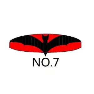 Bat-Shaped Parachute Cloth for RC Drones 17 718979e3717646dda28a512b upscaled