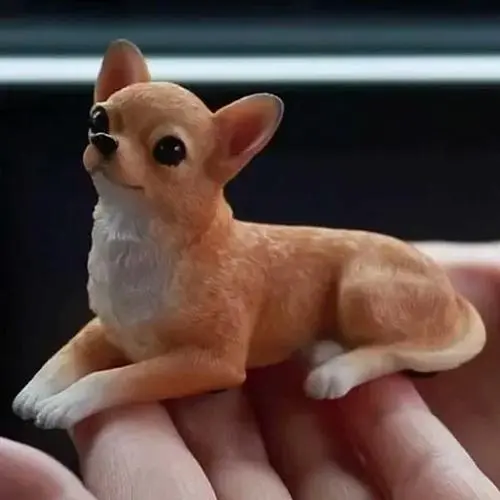 Realistic 1/6 Scale Chihuahua Resin Figurine 4 Realistic 1/6 Scale Chihuahua Resin Figurine - Image 4