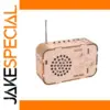 DIY Sci-Fi Wooden Radio Kit for Enthusiasts