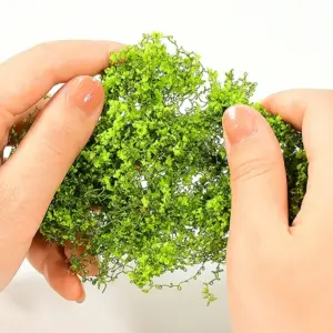 Vibrant Miniature Cotton Thread Vine Models Set 11 A0594a46ad7254c979b797f4f36f9aa1fV