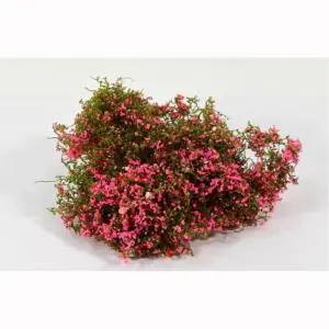 Vibrant Miniature Cotton Thread Vine Models Set 18 A7ab161d128b2480191ee6af3bd348e4dO