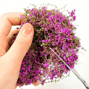 Vibrant Miniature Cotton Thread Vine Models Set 12 Afd3352dee98f424594629b45fd2f9229Q