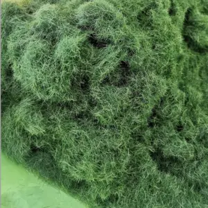 H01cc80a729af41e49324f943a5759017E 1