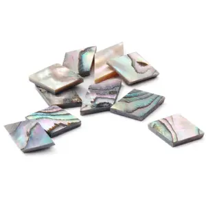 Abalone Shell Dot Inlay Set for Instruments 10 H0510a755adbe440da18c1b8935f4826bi