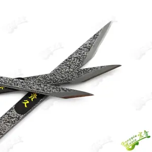 H1d1c91bbf6bb4c04a17aa08b1a36a808k