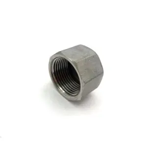 Stainless Steel Pipe End Cap 1/4"-2" BSP 8 H1f0a73fcefbd45dbb5e3c80eab60e255Y