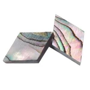 Abalone Shell Dot Inlay Set for Instruments 8 H2231d518ac76441ab6e1a860260b2bbbP