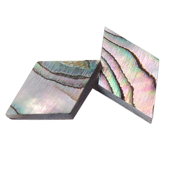 Abalone Shell Dot Inlay Set for Instruments 2 Abalone Shell Dot Inlay Set for Instruments - Image 2