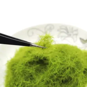 H2e5d636de9e24744ba1ae534e2d4d8d0P