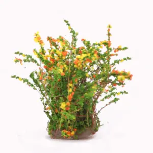 H35abb4f582d84300b9825415645afcc0z