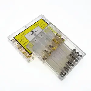 Premium Steel Watch Crown Set for Repair and Customization