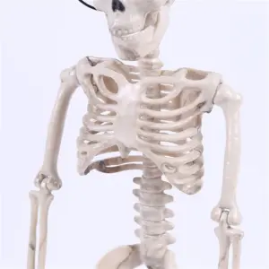 Realistic 40cm Resin Skeleton for Decor 11 H3b43168b640449fabe0c1aa0c27c10310