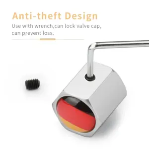 Stainless Steel Anti-Theft Valve Caps for Trumpchi 11 H3da0f39f742643c5be174ba26952a4c78