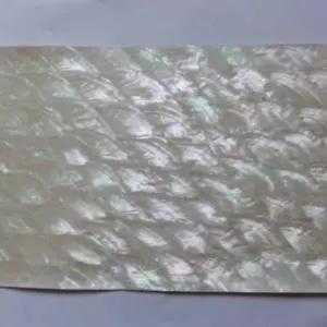 H4580450ae43c43fe8eb052056ef76539P