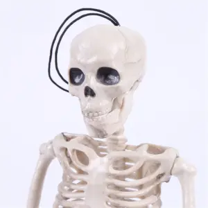 Realistic 40cm Resin Skeleton for Decor 10 H5433d899c5e1438093db9136e204fc21f