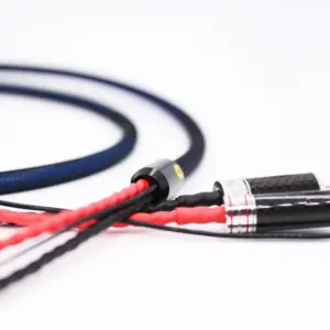 H71611a3a37c2431280e80937169916501