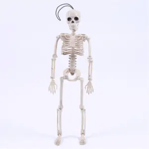 Realistic 40cm Resin Skeleton for Decor 9 H941a8aaac5e84d498b40375c4c7fc4d8F