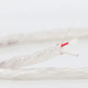 H99f6e68766684bbfbe97ef7d80106318H