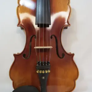 Premium 16-Inch Viola by Song Maestro 8 H9b7af5bbb9414bd8a71fb6476756a730b