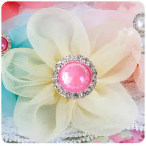 HTB1GvOsg1ySBuNjy1zdq6xPxFXa8