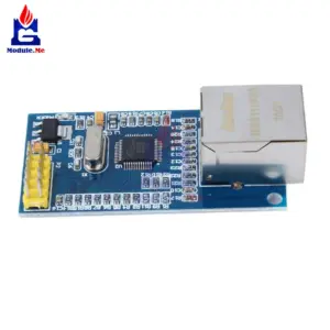 HTB1TPvgXfvsK1Rjy0Fiq6zwtXXaW