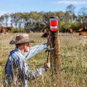 HTB1eDypJCzqK1RjSZFjq6zlCFXa4