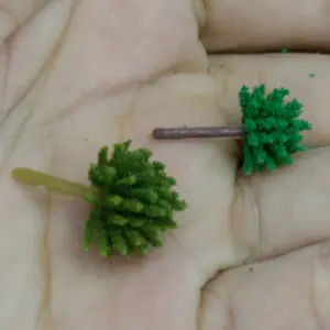 HTB1xWUhXcfrK1Rjy1Xdq6yemFXaD