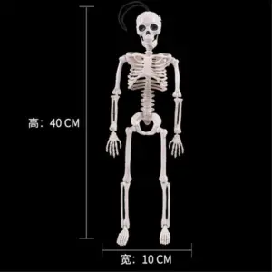 Realistic 40cm Resin Skeleton for Decor 7 Hb85ab85bb30f44609db578fb835663adb