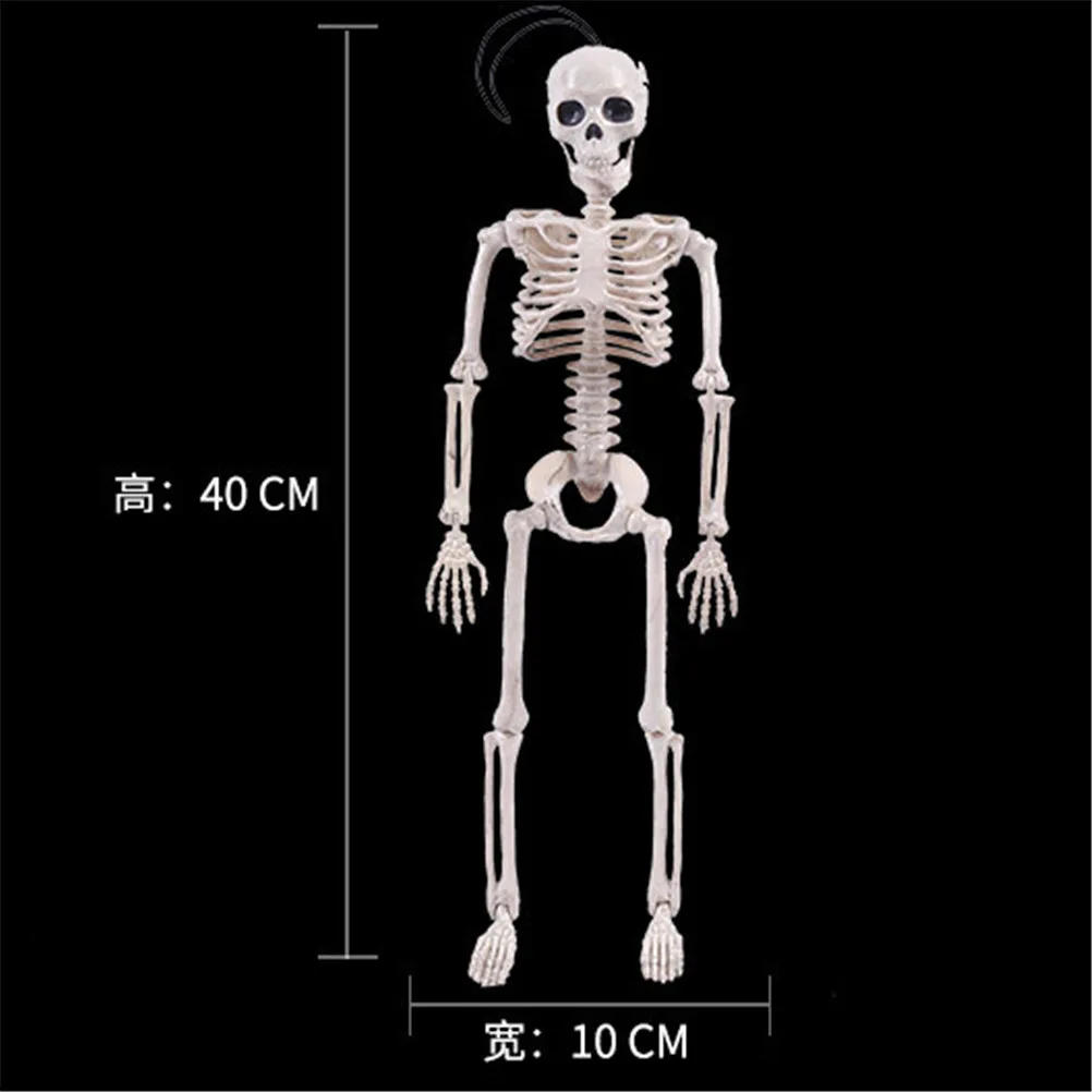 Realistic 40cm Resin Skeleton for Decor 2 Realistic 40cm Resin Skeleton for Decor - Image 2