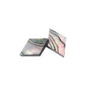 Abalone Shell Dot Inlay Set for Instruments 13 Hb9d2b0cd44da4eba91890ab42f5c275f8