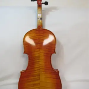 Hba9660edf2154ae38a9d8a9e28be72abo