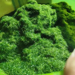 Hcf2ebf26b4664fdabc40150c8db06875r 1