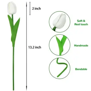 S009c2b6ada0a4737ba50dc74892b4ec7O