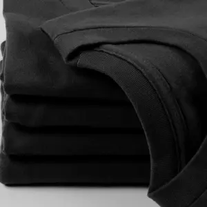 S019a85866c244605acb36e5d3556b4879 2