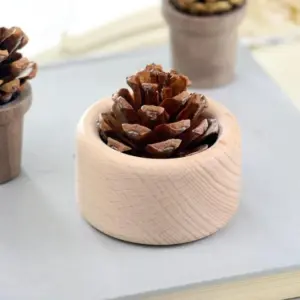 S02135e9d10b841acb0faf6f8ff7d5b917