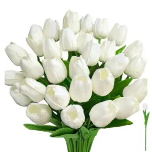 S0384b09e2abe4f31b79622a1ac6157aeF