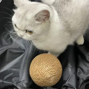 Interactive Handmade Cat Toy Ball 8 S03ce02d5f6d343928d1ea61dbb5081a0U