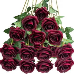 S047b6b7018114f4f89ba9a8bc32ff0c88