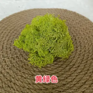 S04ffdd1096d24a379340e9843768101cb